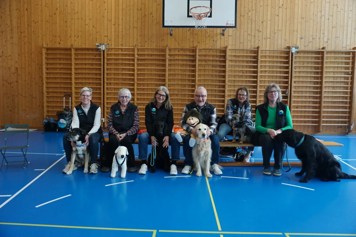 Gruppe mit Hunden