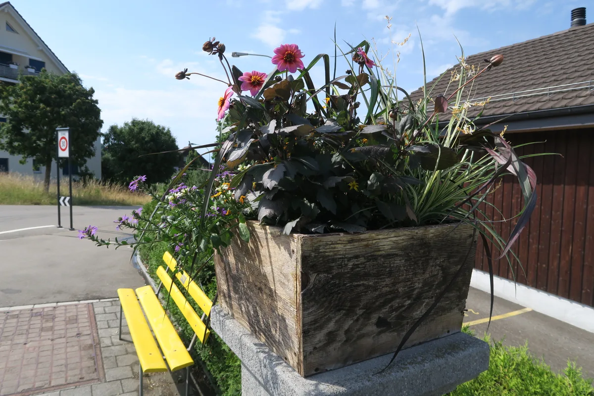 Das Bild zeigt den Blumenschmuck und im Hintergrund ein gelbes Sitzbänkli.