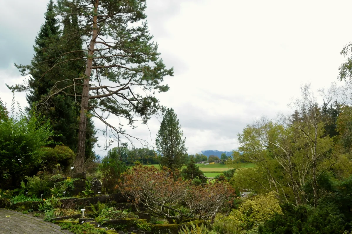 Nationalpark vor der Haustür: der Botanische Garten in Grüningen. Auch im Herbst ist der Botanische Garten in Grüningen einen Besuch wert.