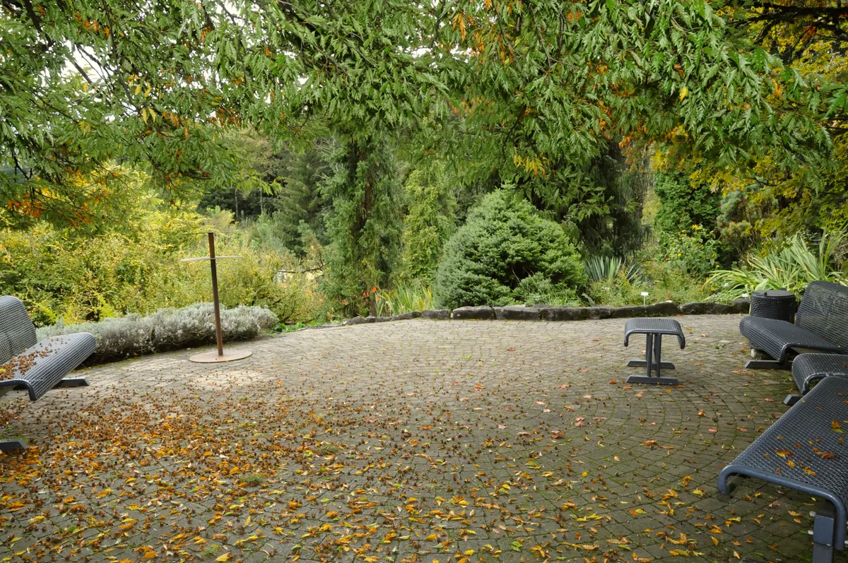 Auf dieser Plattform, dem höchsten Punkt des Gartens, wollte der ursprüngliche Besitzer ein Restaurant erbauen. Auch im Herbst ist der Botanische Garten in Grüningen einen Besuch wert.