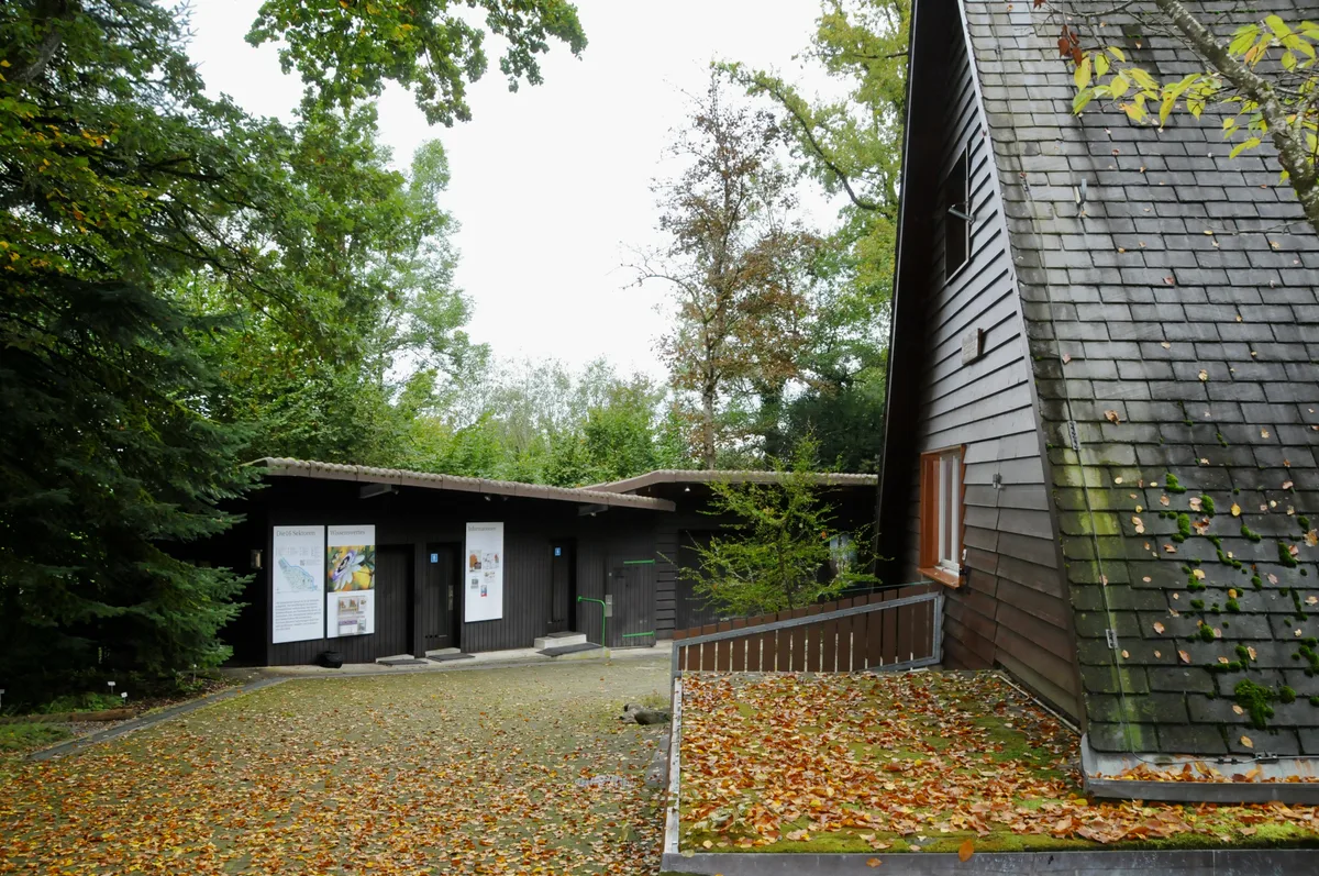 Der Eingangsbereich des Botanischen Gartens erinnert an ein Ranger-Camp. Auch im Herbst ist der Botanische Garten in Grüningen einen Besuch wert.