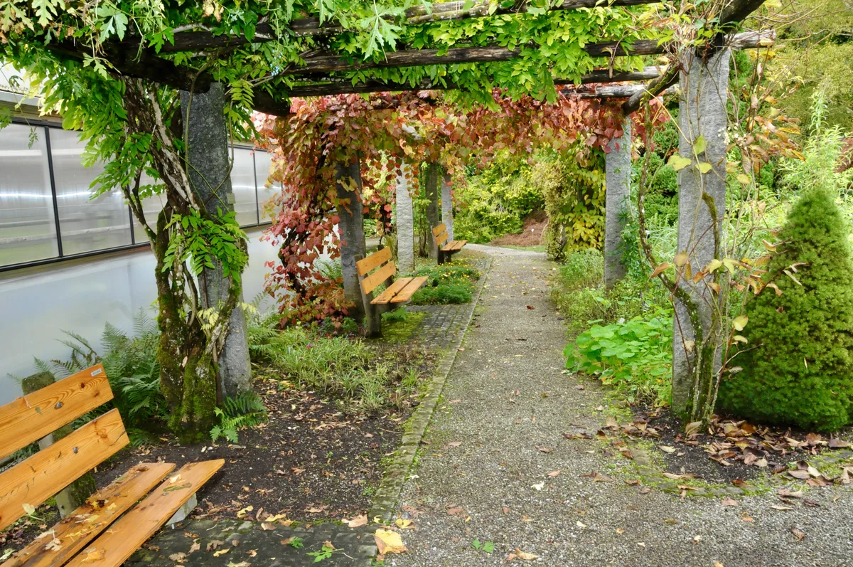 Ruhe und Kraft tanken: Ein Besuch des Botanischen Gartens «entschleunigt». Auch im Herbst ist der Botanische Garten in Grüningen einen Besuch wert.