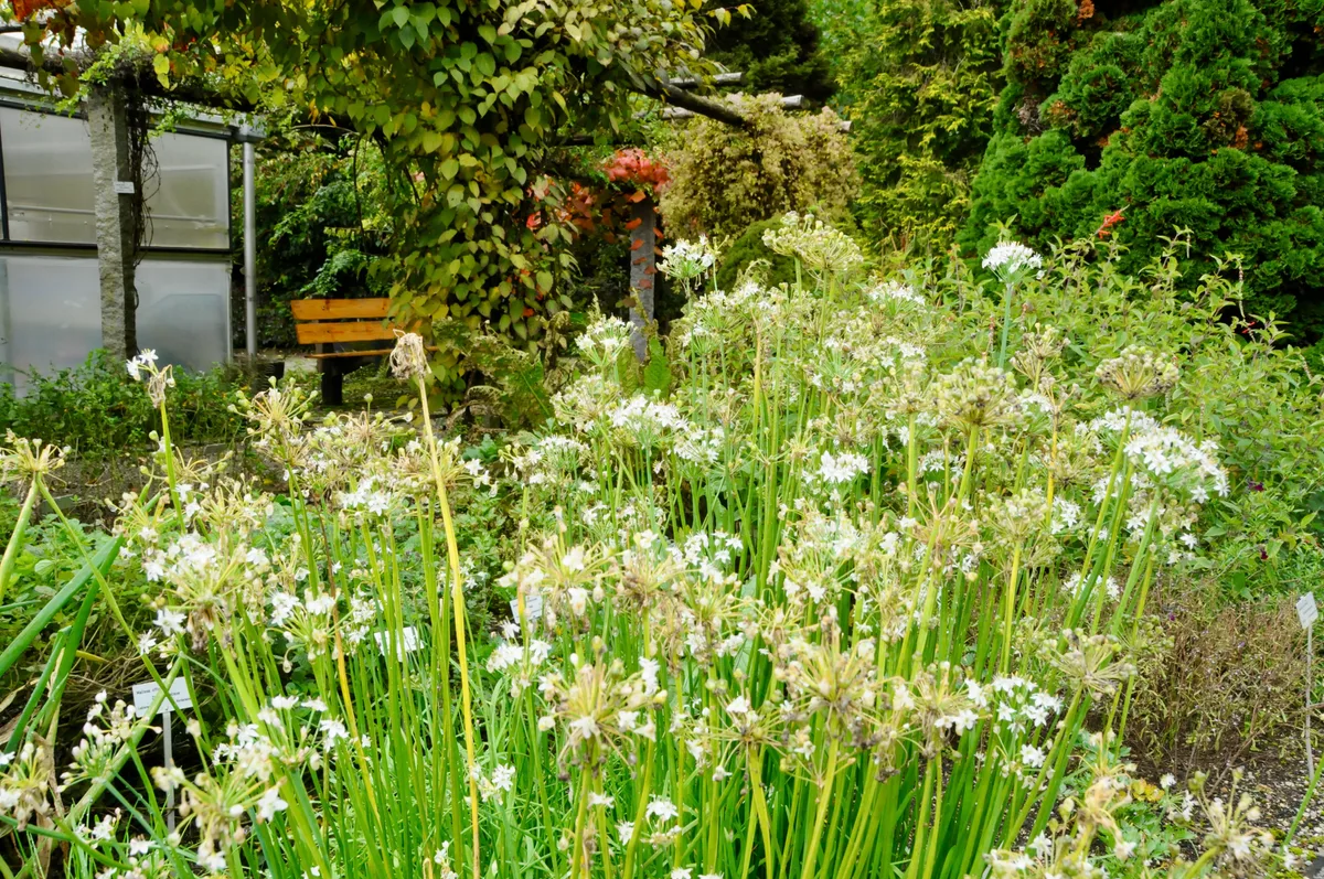 Betörende Düfte: Im Botanischen Garten werden alle Sinne angeregt. Auch im Herbst ist der Botanische Garten in Grüningen einen Besuch wert.