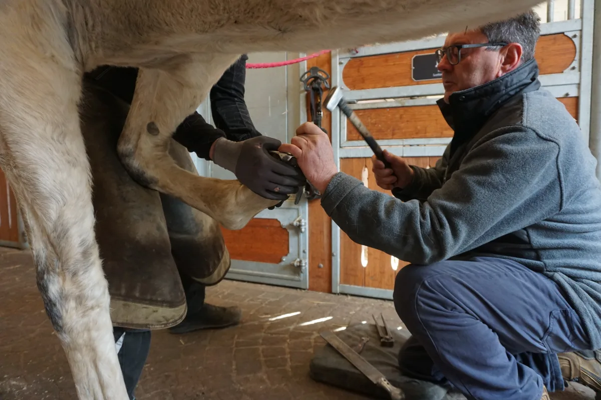 Mann nagelt mit Hammer