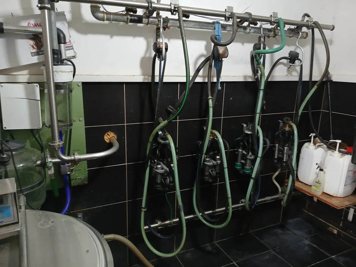 Solche Melksysteme vertreibt und montiert die Firma Agro Schweiz. Milchsytem