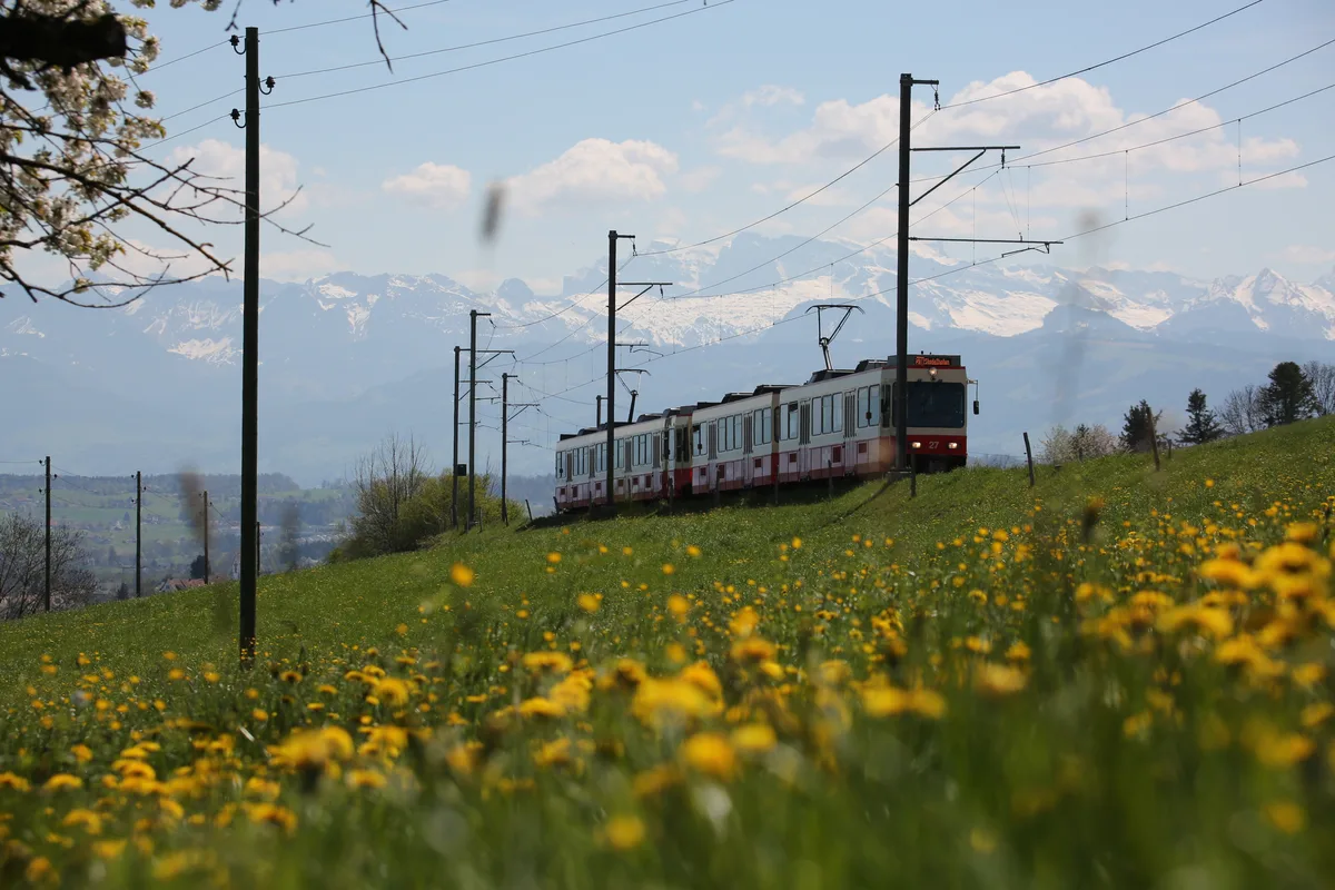 Eine Zugkomposition der Forchbahn in frühlingshafter Landschaft.