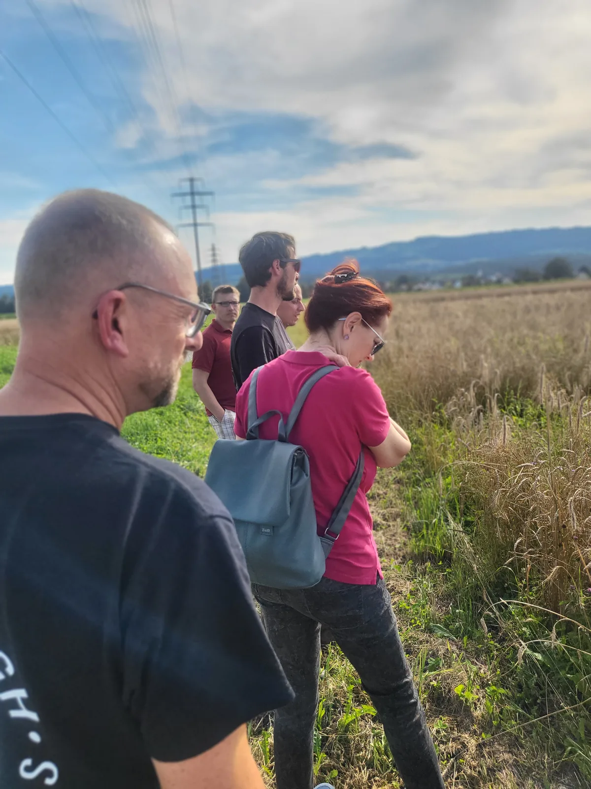 Menschen stehen am Rand eines Weizenfelds in Mönchaltorf.