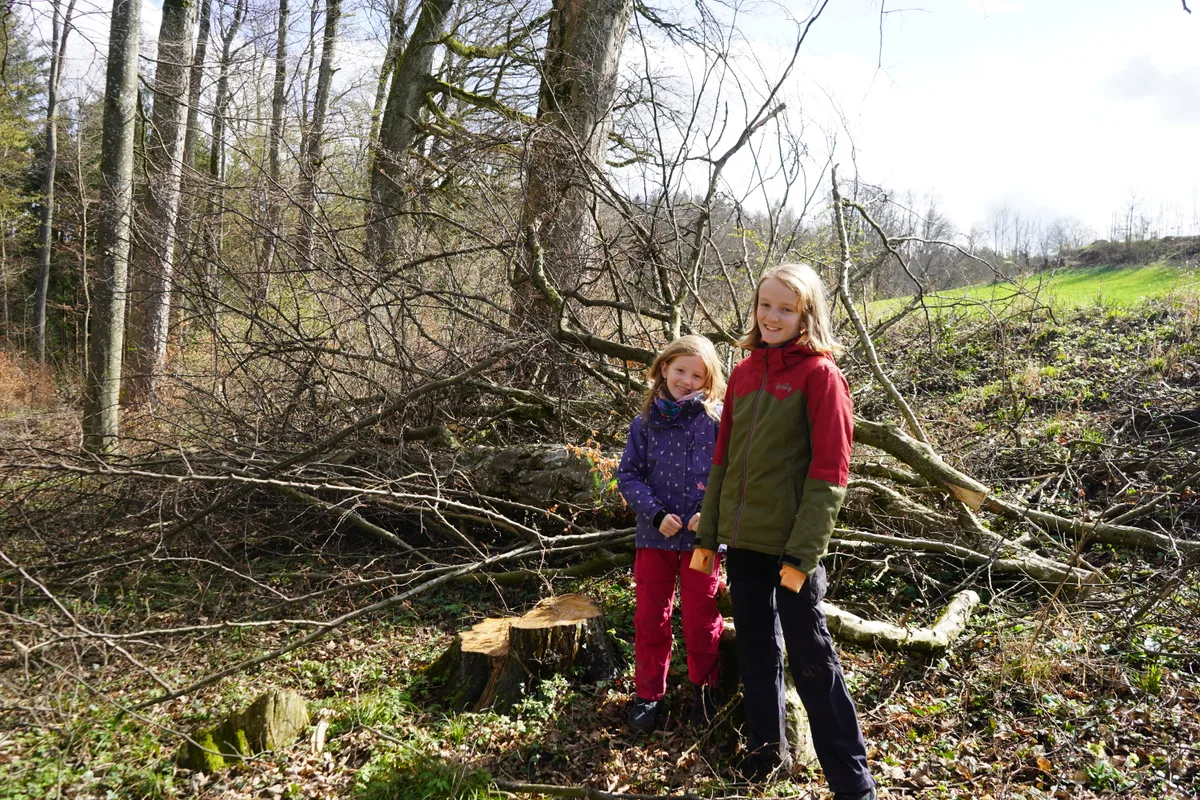 Brennholzgant der Holzkorporation Dübendorf am 25. März 2023