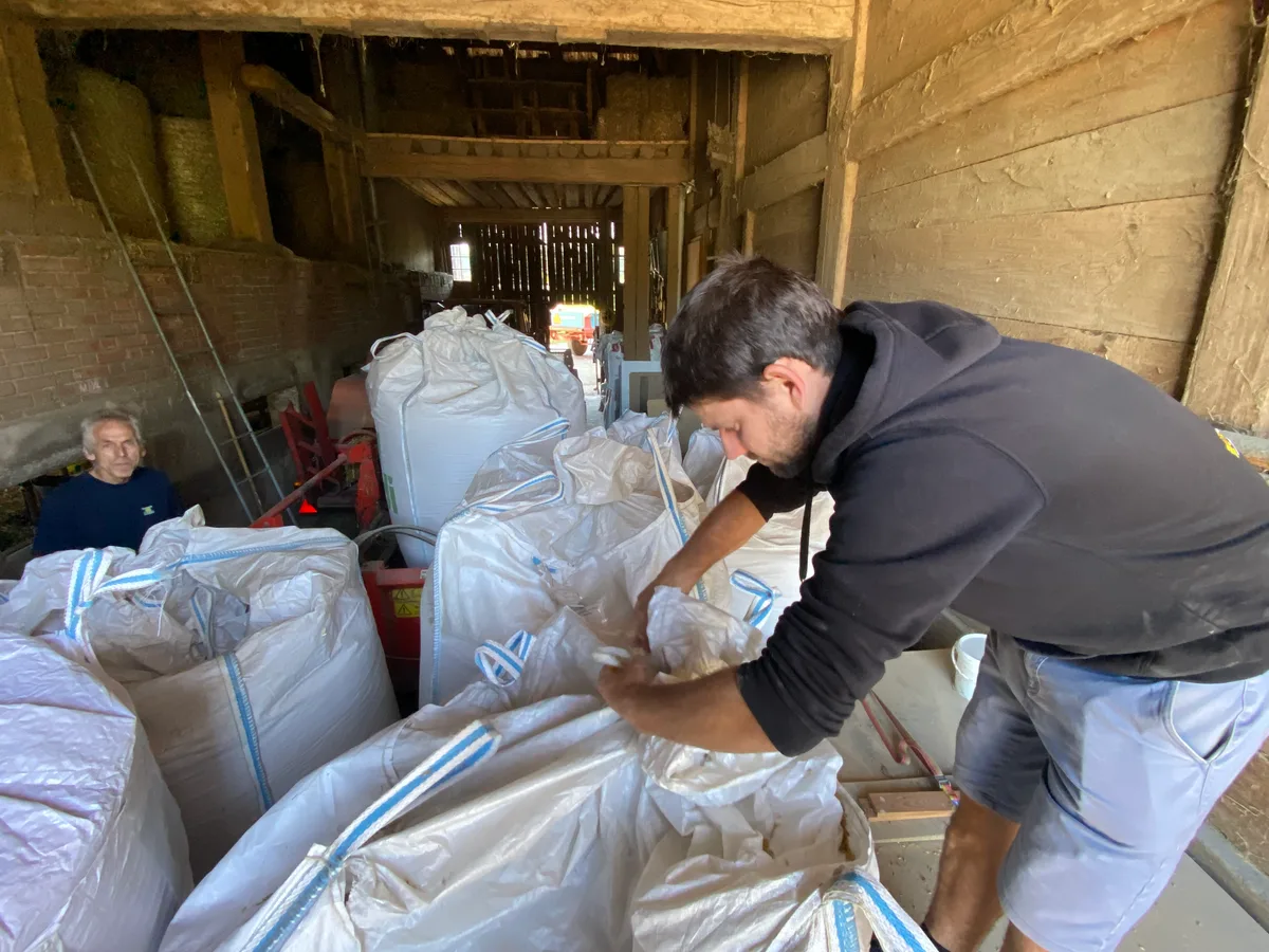 In jedem dieser weissen Säcke steckt rund eine Tonne Getreide. Ein Landwirt bindet einen grossen weissen Sack mit Gerste zusammen.