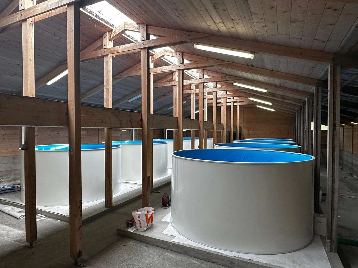 Acht Zuchtbecken stehen in einem einfachen Holzgebäude. Die Becken sind aussen weiss und innen blau.