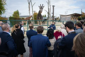 30052684-4 Spannende Location für das Unternehmergespräch 2024: Knies Kinderzoo in Rapperswil.