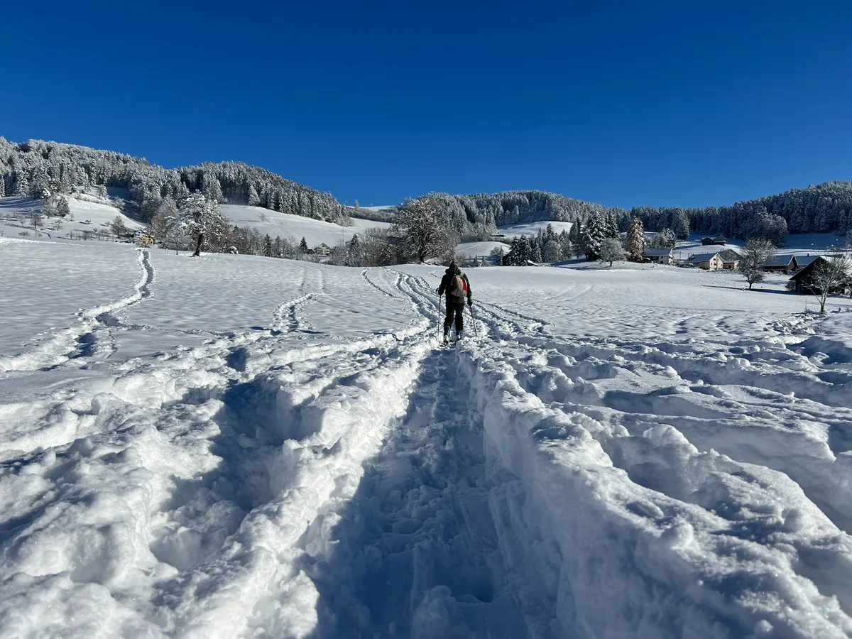 Schnee hat es in rauen Mengen. Lanlauf-Loipe am Bachtel