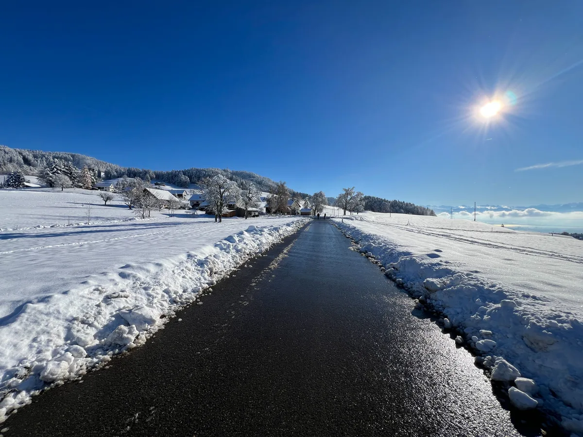 Dazu gesellt sich ein stahlblauer Himmel. Lanlauf-Loipe am Bachtel