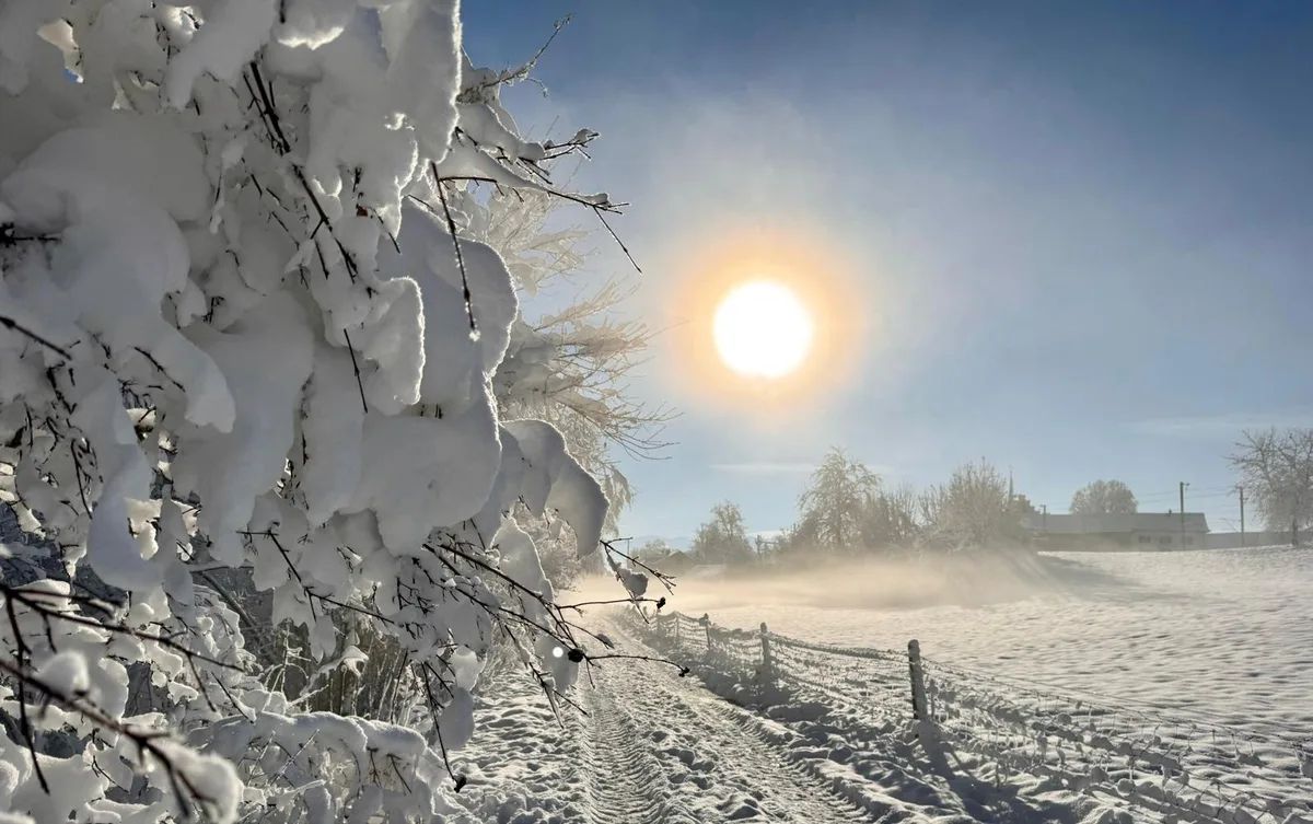 Der Ort zeigt sich den Spaziergängern als Winterwunderland. Bubikon im Schnee