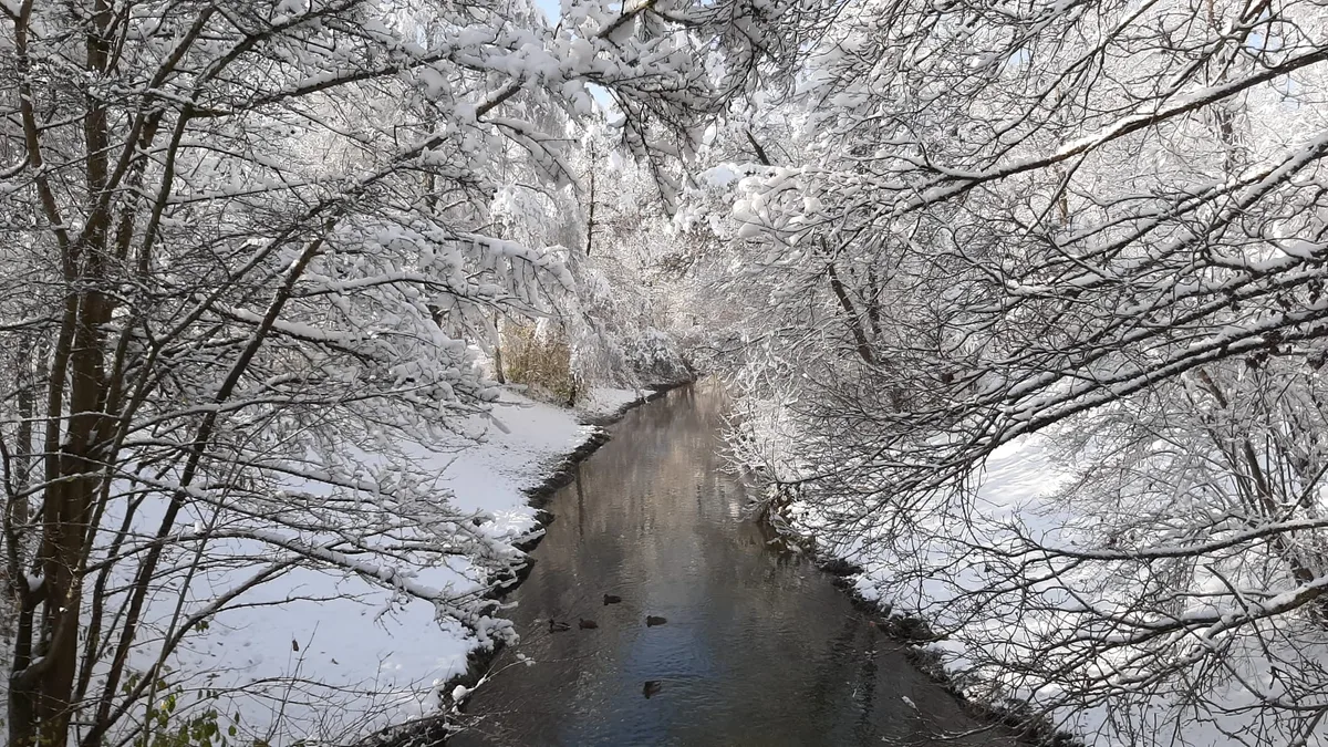 Der Chriesbach in Dübendorf zeigt sich inmitten weisser Schneelandschaft. Dübendorf im Schnee