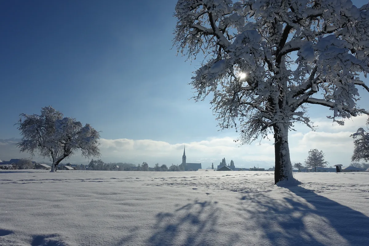 Hombrechtikon im Schnee