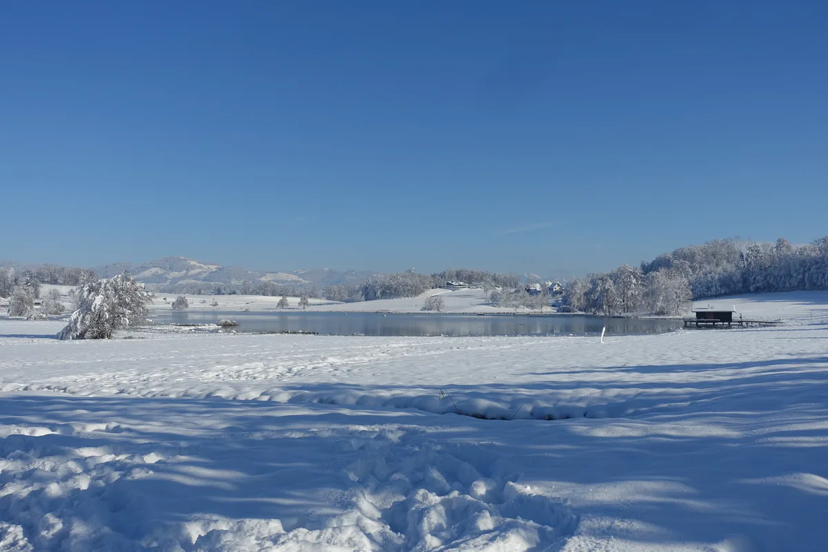 Lützelsee im Schnee