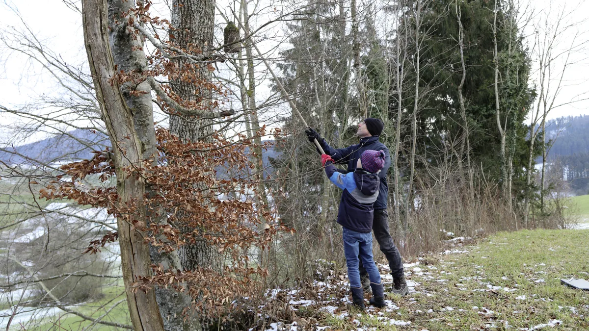 Mit einer speziellen Stange werden die höher gelegenen Vogelhäuschen heruntergeholt. Reinigung der Nisthilfen mit dem Naturschutzverein Elgg und Umgebung in Schlatt