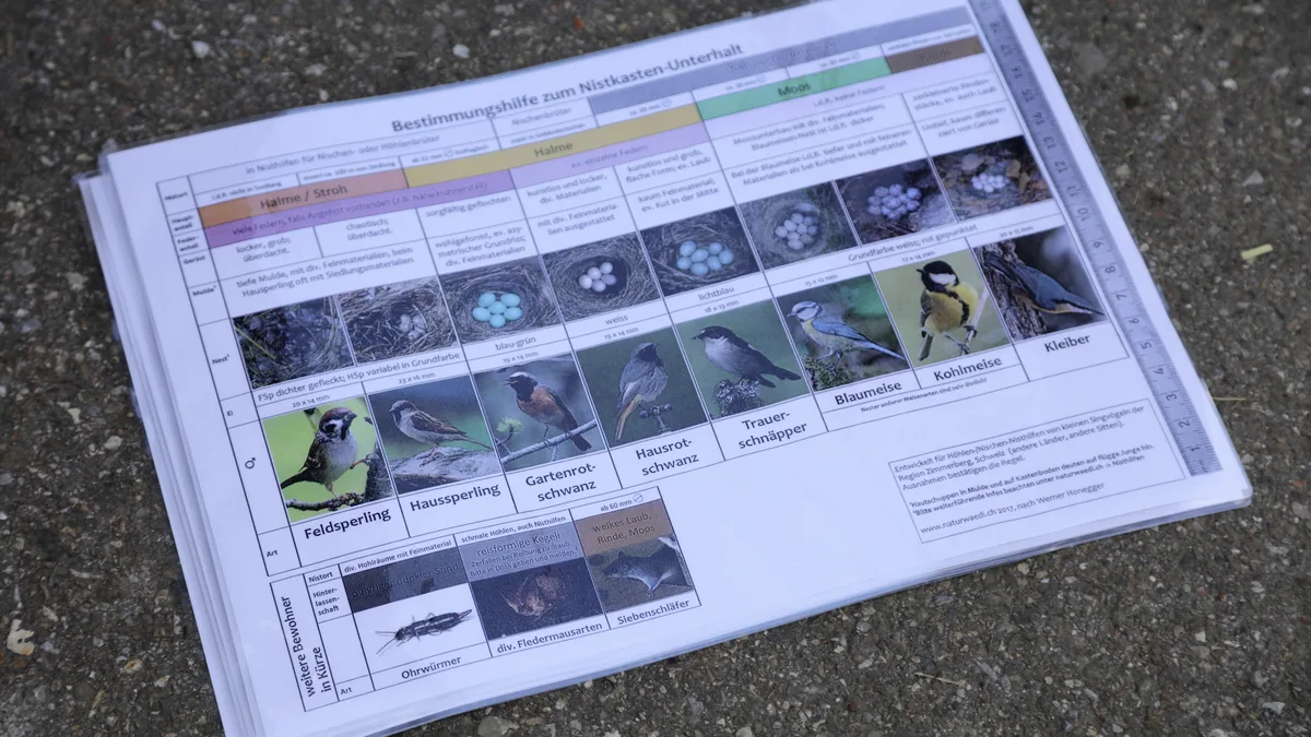 Für die Arbeit braucht es Info-Material über die verschiedenen Vogelarten der Umgebung. Reinigung der Nisthilfen mit dem Naturschutzverein Elgg und Umgebung in Schlatt