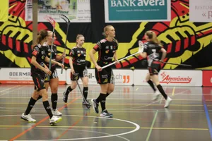 21967483-1 Floorball Riders