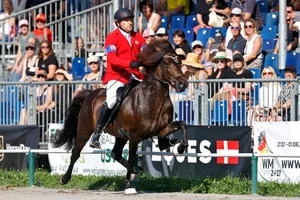 26733217-5 Islandpferdreiter Oliver Egli aus Effretikon an der WM in Birmenstorf.