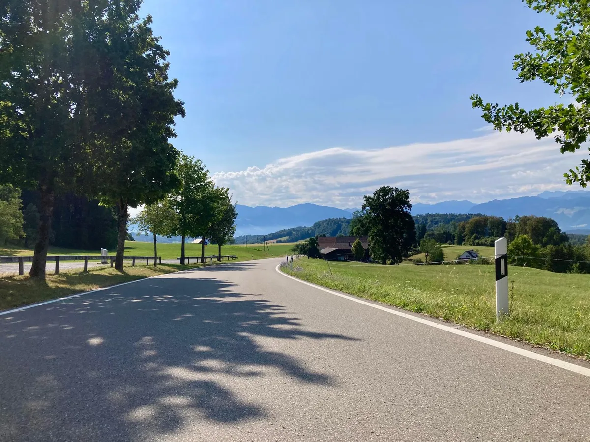 Ein Strasse, links hinter den Bäumen ein öffentlicher Parkplatz.