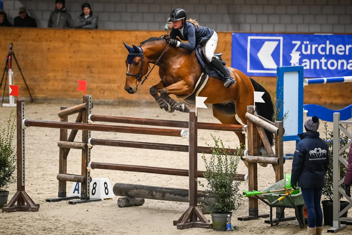 Hallenconcours Rüti 2021: Überzeugte in praktisch allen Kategorien: Lou Puch aus Hinteregg, im Bild auf Vitalhorse Un Amour La Goula. Hallenconcours Rüti 2021: Überzeugte in praktisch allen Kategorien: Lou Puch aus Hinteregg, im Bild auf Vitalhorse Un Amour La Goula.