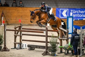 Hallenconcours Rüti 2021: Überzeugte in praktisch allen Kategorien: Lou Puch aus Hinteregg, im Bild auf Vitalhorse Un Amour La Goula. Hallenconcours Rüti 2021: Überzeugte in praktisch allen Kategorien: Lou Puch aus Hinteregg, im Bild auf Vitalhorse Un Amour La Goula.