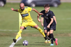 22123346-1 fussball
fussball