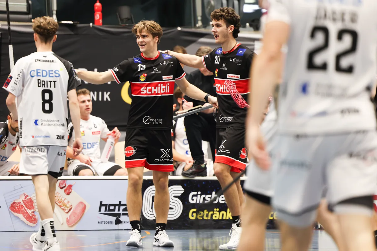 13085531-13 unihockey