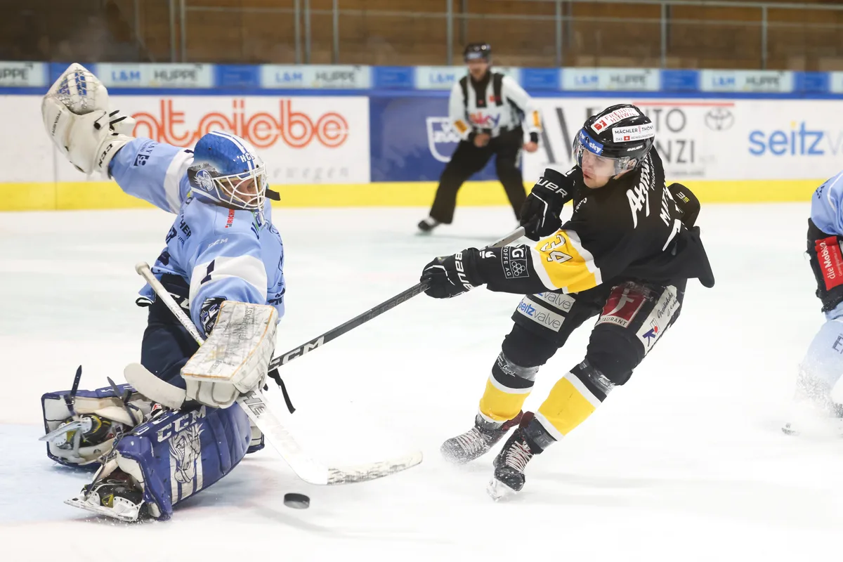 23220062-3 eishockey