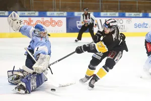 23220062-3 eishockey