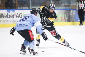 23316184-5 eishockey