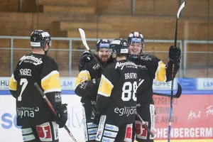 22439557-7 eishockey