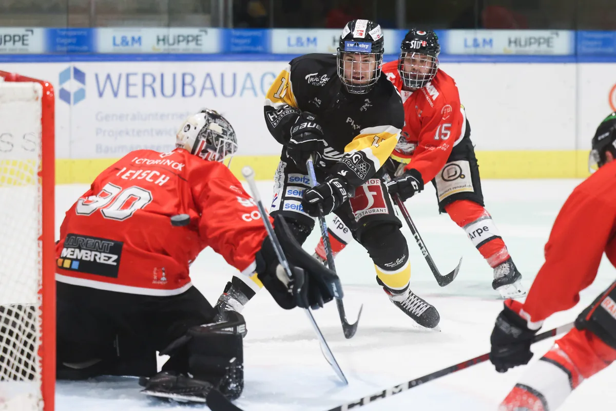 eishockey eishockey