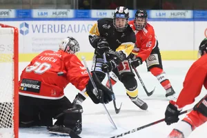 eishockey eishockey