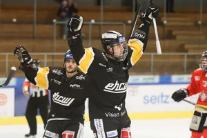 21982008-10 eishockey