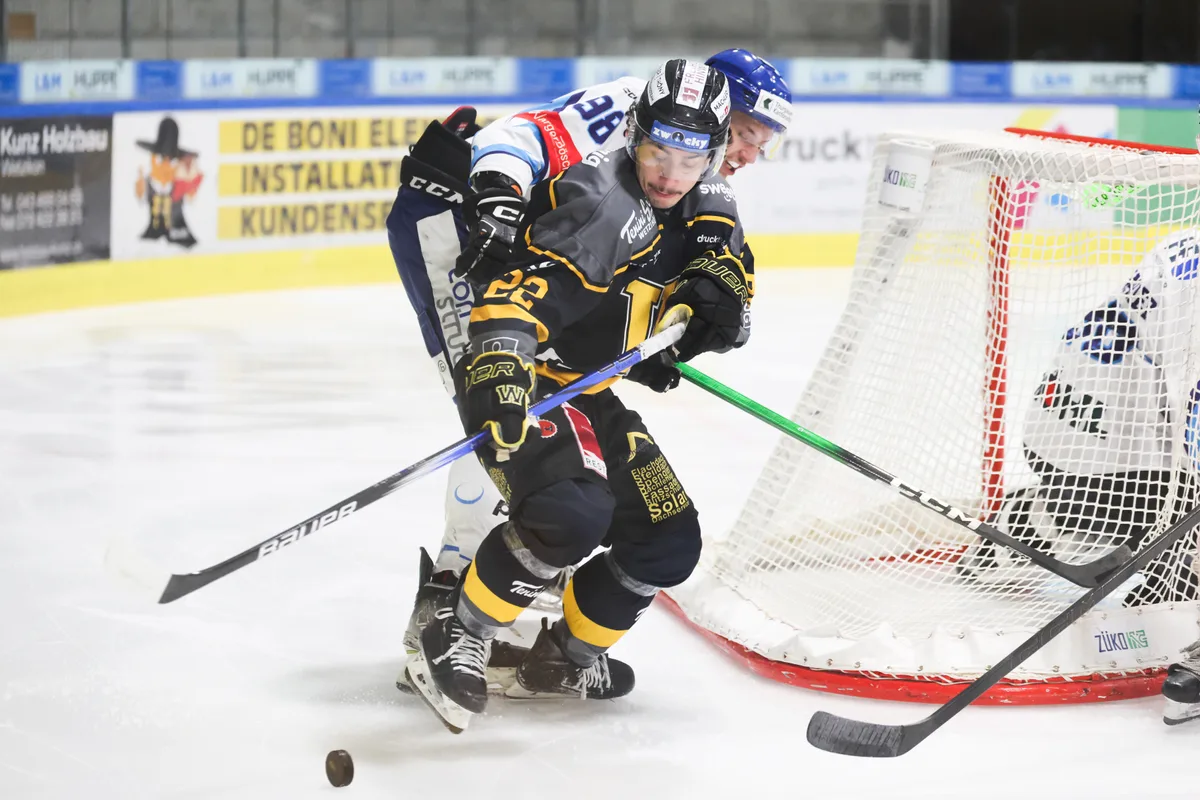 28050987-2 Eishockey