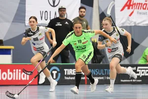22851244-3 Unihockey Laupen Bern