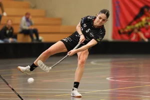 31819450-2 Unihockey