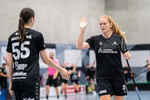 Sporthalle Elba, Laupen gegen Red Ants Sporthalle Elba, Laupen gegen Red Ants
