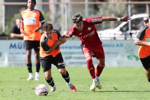 30564189-1 Fussball