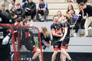 23780798-1 Sporthalle Buchholz, Uster gegen Basel