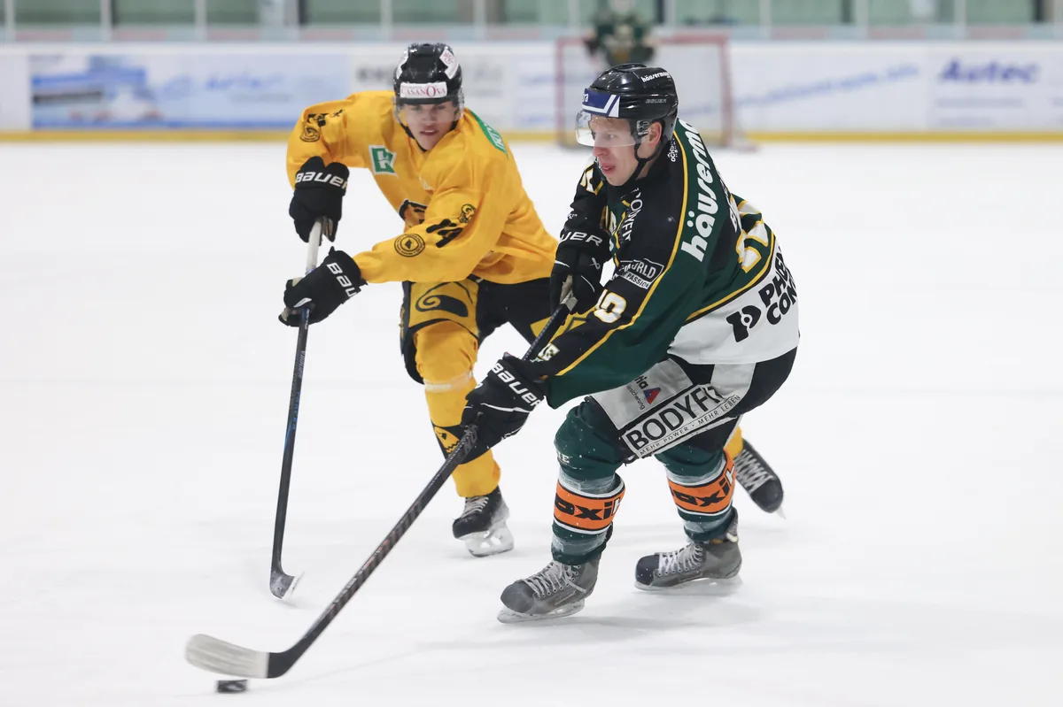 12385607-12 Eishockey