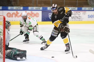Eishockey Eishockey
