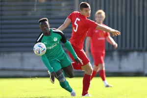 22167013-9 Fussball