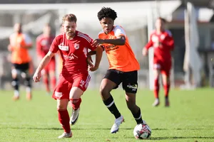 23621867-3 Fussball