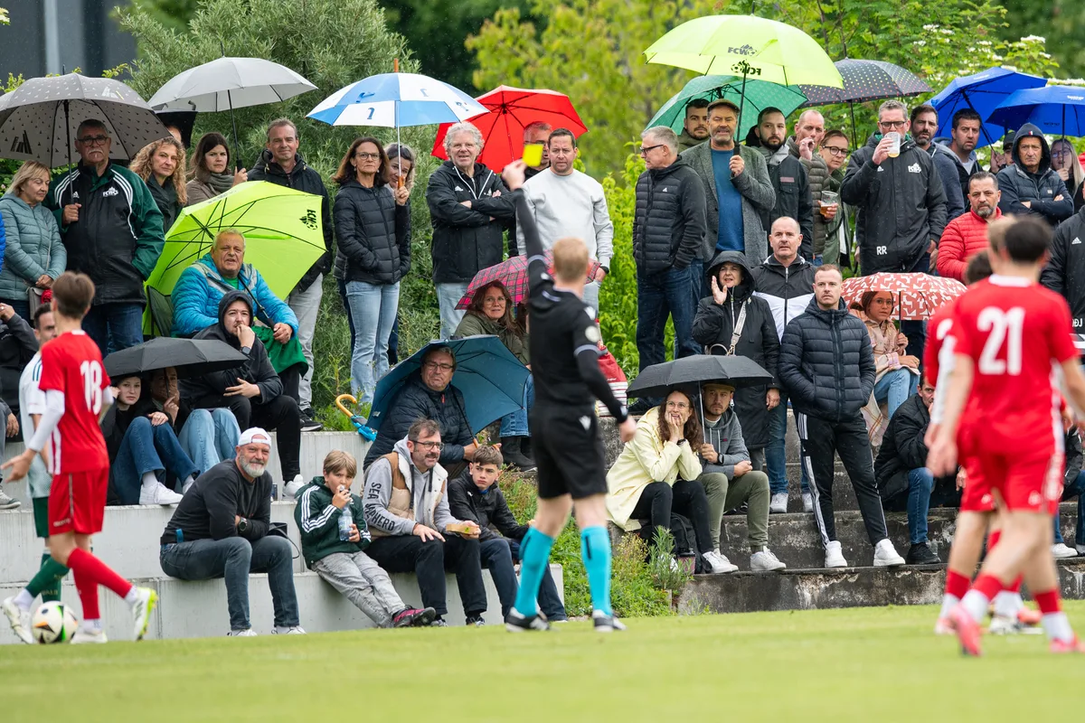 Sportplatz Barzloo, Pfäffikon gegen Wald