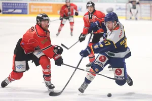 24995358-1 Eishockey