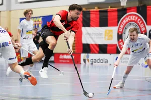 29476173-2 Unihockey